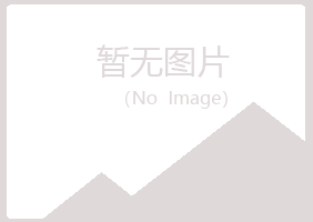 岐山县沛菡会计有限公司